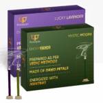 Paraayan Saugandhya Dhoop Sticks (Mogra - Lavender Combo) | 1 Pack, 2 Boxes, 20 Sticks Each