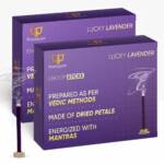 Paraayan Saugandhya Dhoop Sticks (Lavender Combo) | 1 Pack, 2 Boxes, 20 Sticks Each