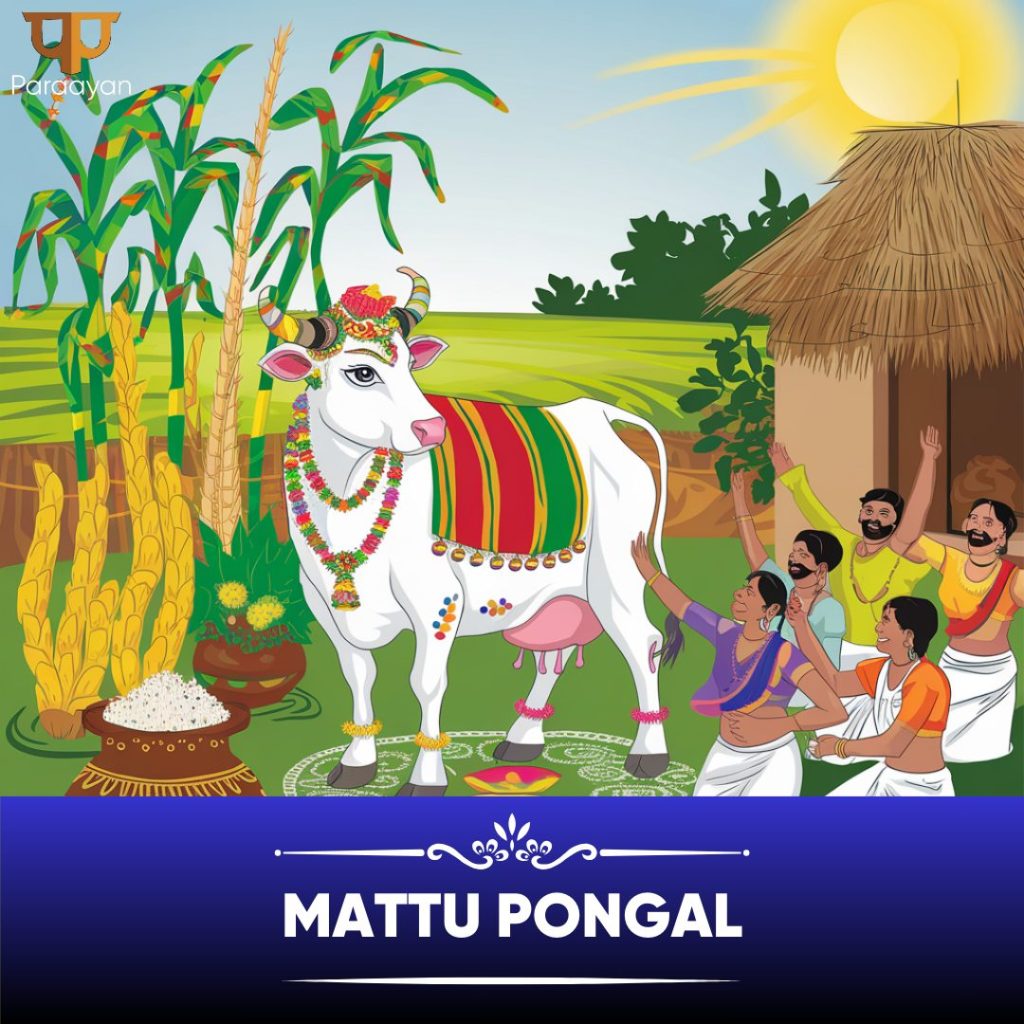 Mattu Pongal