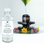 Paraayan Pure Gangajal Water| 500 ml | Pack of 2 | Holy Ganga water | Perfect for Puja Spiritual Rituals, Hawan | Blessed with Mantras