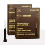 Paraayan Energized Wet Dhoop | 20 Pieces | Pack of 2 | Sacred Incense Sticks For Puja, Mandir, Home | Peaceful Fragrance