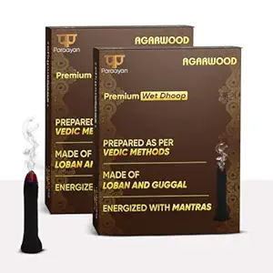 Paraayan Energized Wet Dhoop | 20 Pieces | Pack of 2 | Sacred Incense Sticks For Puja, Mandir, Home | Peaceful Fragrance