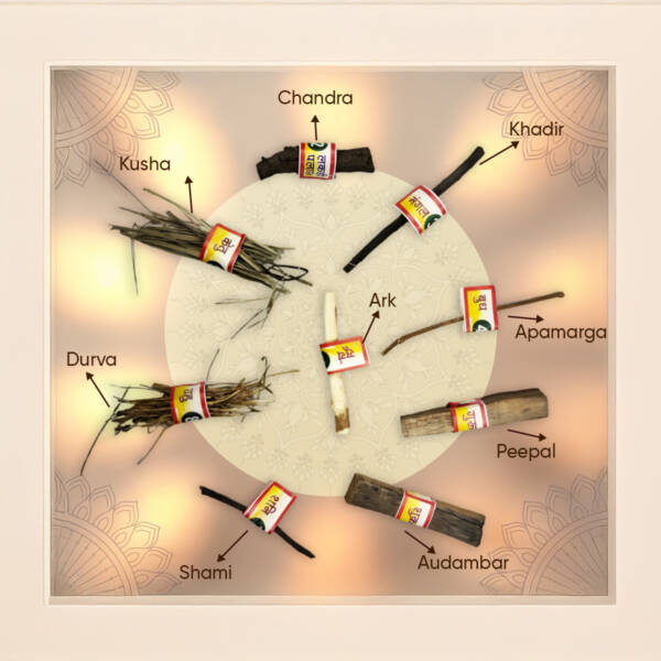 Paraayan Navgrah Samidha for Hawan & Pooja | Pack of 9 Sacred Woods | Natural & Chemical-Free | Shastra Sammat for Rituals & Hawan | Woods for Surya, Chandra, Mangal, Budh, Guru, Shani, Rahu and Ketu - Image 3